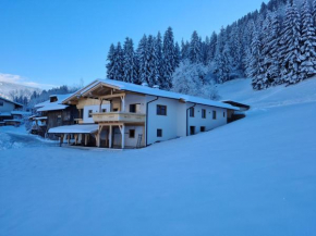 Luxurious Apartment in Kaltenbach near Ski Area